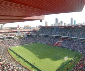 пазл Ellis Park Stadium (61.639), Johannesburg